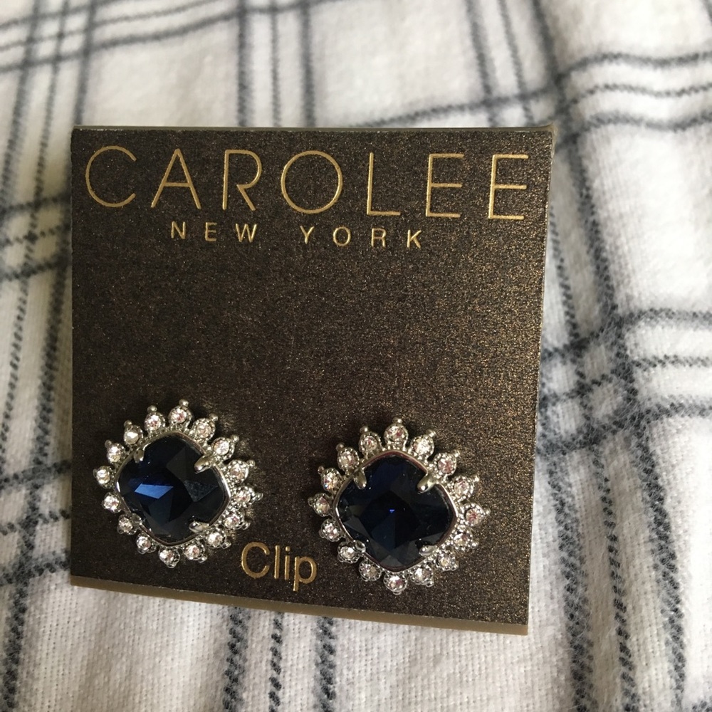 Brand new clip on earrings. Super pretty !